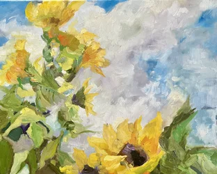Des tournesols et un ciel bleu