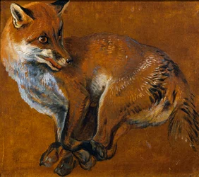 Renard aux pattes liées, par Alexandre-François Desportes, France