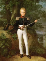 Henri, comte de Chambord, duc de Bordeaux, prétendant au trône de France issu de la lignée aînée des Bourbons, fils de Charles-Ferdinand, duc de Berry.