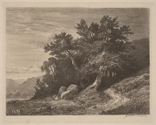 Arbres anciens sur un coteau