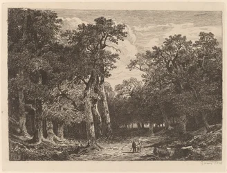 Couple dans une Clairière