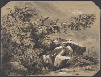 Forêts et montagnes