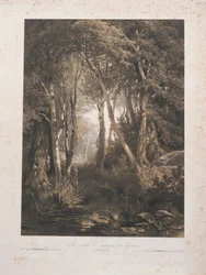 Paysage