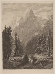 Prairie de montagne