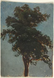 Étude d