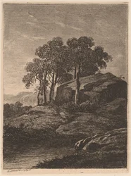 Arbres près d