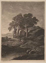 Arbres près d’un rocher