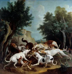 Chasse au loup