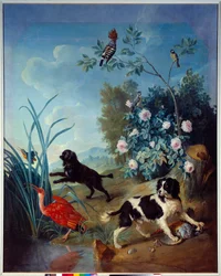Zerbine et Jemite, les chiens du roi Louis XIV, tableau de François Desportes (1661-1743), 1739, Compiègne, Musée national du château