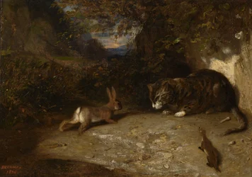 Chat, belette et lapin