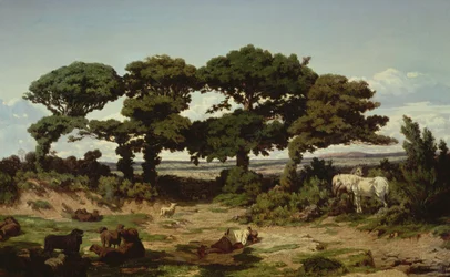 Les chênes de Kertregonnec, vers 1869-70