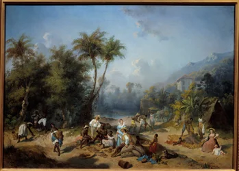 Une plantation de cacao aux Antilles