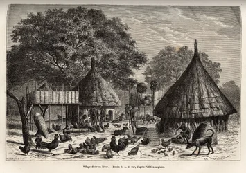 Village Diour en hiver (Soudan) et activités quotidiennes des habitants au milieu des animaux élevés par la communauté, gravure d