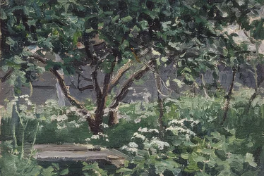 Un coin du jardin