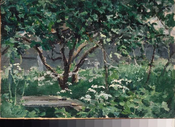 Un coin du jardin