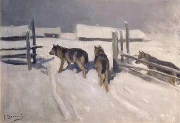 Loups. Nuit d