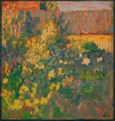 Jardin en fleurs