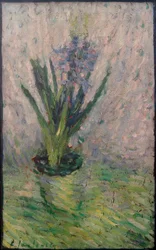 Jacinthe