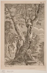Le hibou et le rossignol