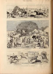 Chasse au porc au Bengale