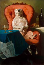 Chien Carlin dans un fauteuil, 1857
