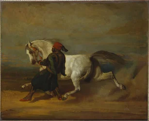 La Fierté du Pacha