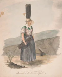 Vendeur de charbon, Tenerife
