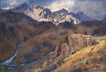 District des Lacs : Chasse au renard, tête d