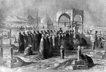 Musulmans, Égypte