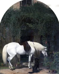 Cheval blanc et retriever