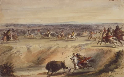 Une chasse au bison
