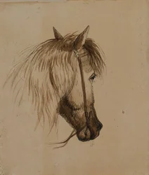 Tête de cheval