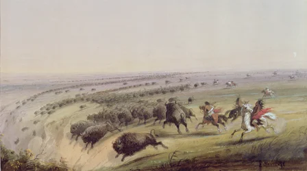 Chasse au bison, 1837