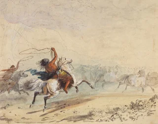 Lassoing des chevaux sauvages, vers 1837