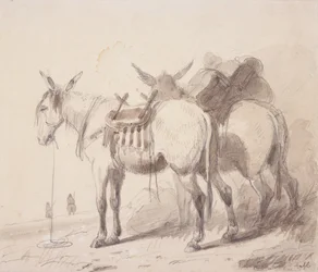 Équipement de mule, vers 1837