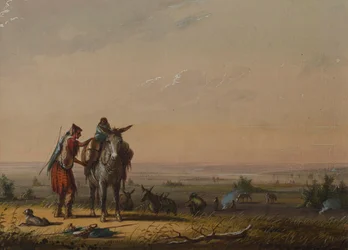 Les fouilleurs de racines