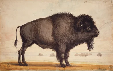 Sentant la brise, c.1837