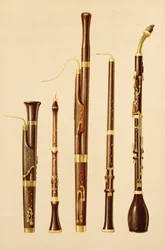 Un doulciane, un hautbois, un basson, un hautbois de chasse et un cor de basset, extrait de « Musical Instruments »