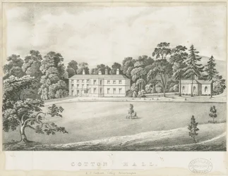 Cotton - Hall