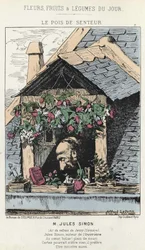 Le Pays de la Fragrance : caricature de Jules Simon (1814 - 1896) - ill. du 12/01/187 dans « Fleurs, Fruits et Légumes du Jour »