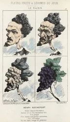 Le Raisin : caricature de Henri Rochefort - ill. du 09/02/1871 dans « Fleurs, Fruits et Légumes du Jour »