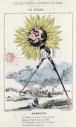 Le Soleil (tournesol) : caricature sur Gambetta (1838 - 1882) - ill. du 12/01/1871 dans « Fleurs, Fruits et Légumes du Jour »