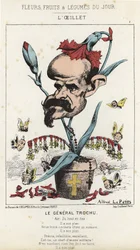 Le Œillet : Caricature sur le général Louis Jules Trochu (1815 - 1896) - ill. du 11/01/1871 dans « Fleurs, Fruits et Légumes du Jour »