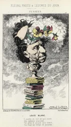 Pensées : Caricature sur Louis Blanc - ill. du 04/02/1871 dans « Fleurs, Fruits et Légumes du Jour »