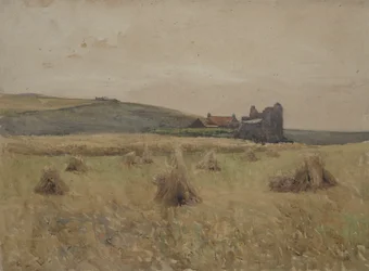 Champ de blé