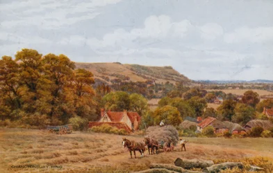 Chanctonbury Ring près de Worthing