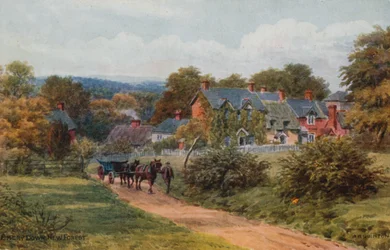 Emery Down, New Forest