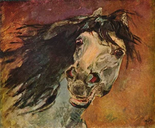 Tête de cheval andalou, vers 1910