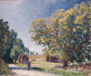 Une clairière dans une forêt, 1895
