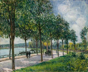 Allée de châtaigniers